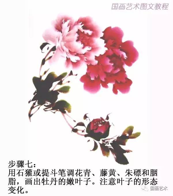 蓝莓繁殖方法如下:专业园丁教你高效繁殖技巧